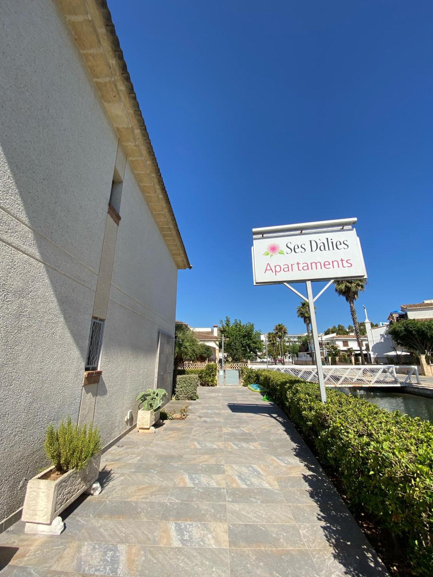 Apartaments Ses Dalies Port de Alcudia  Dış mekan fotoğraf
